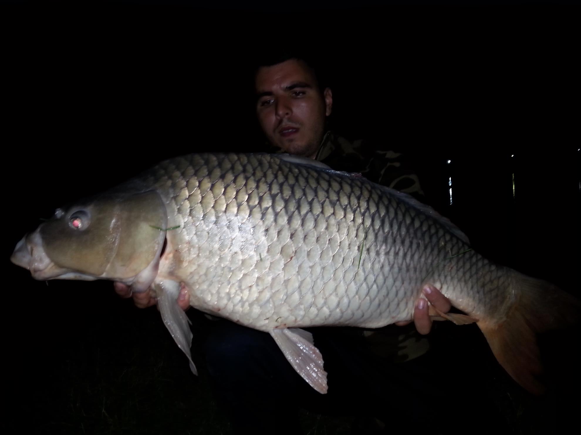 Moara Vlasiei 2 15 - 16 iulie 2014 - 20140715215156.jpg